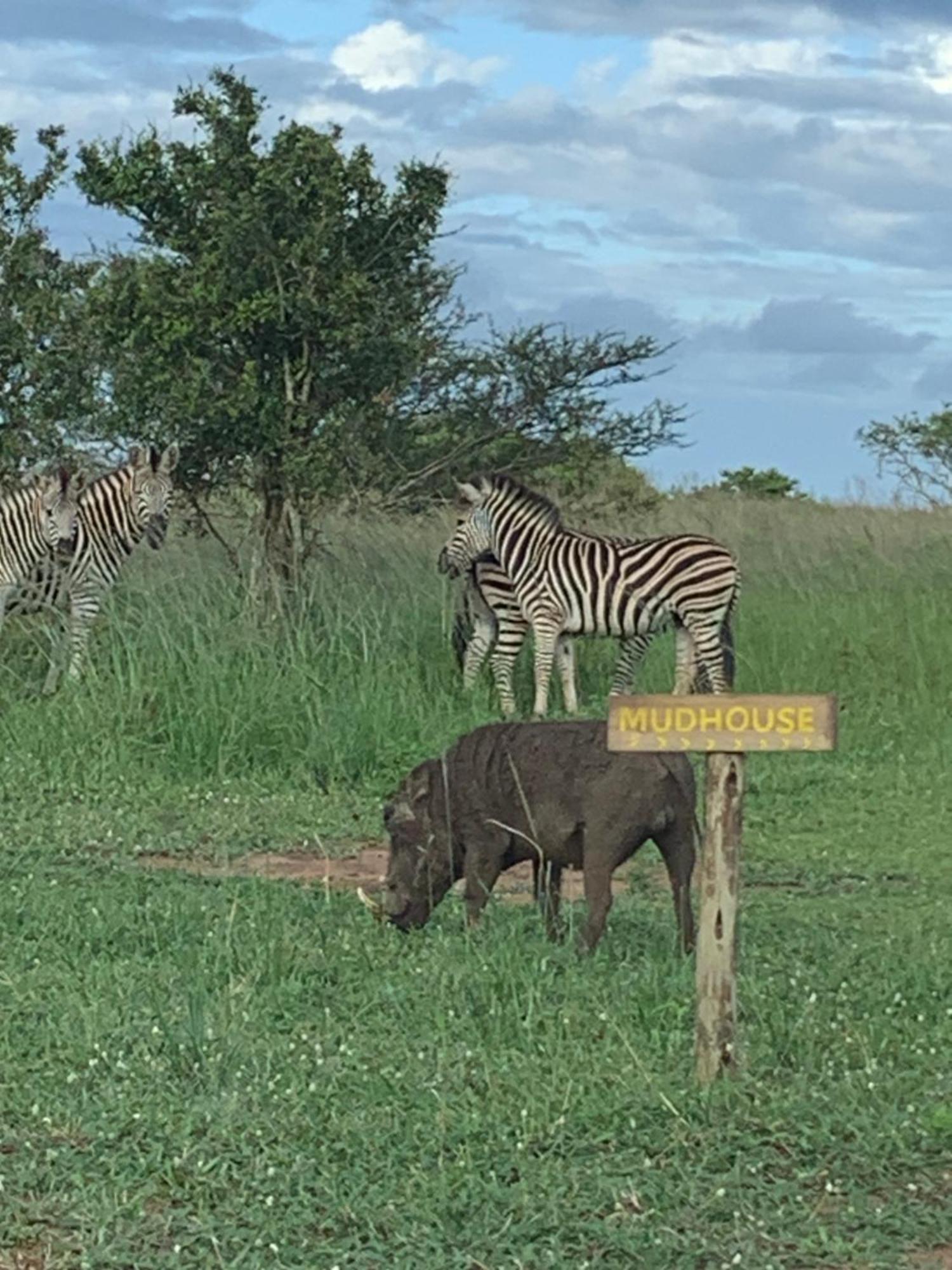 Mudhouse Zululand Villa Hluhluwe Eksteriør billede