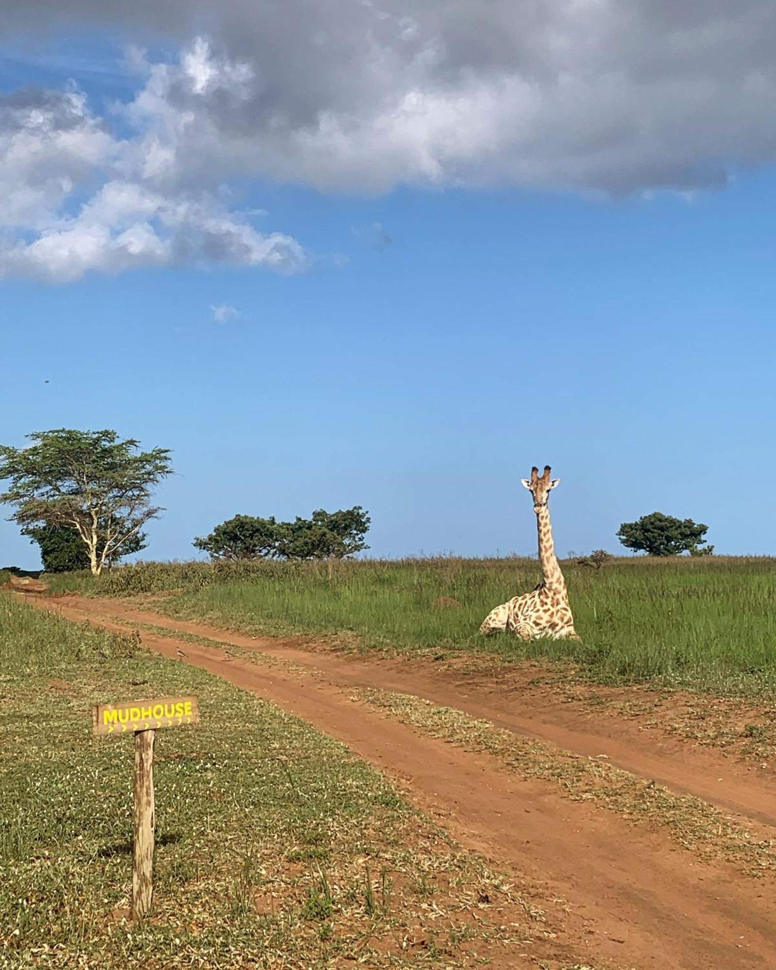 Mudhouse Zululand Villa Hluhluwe Eksteriør billede
