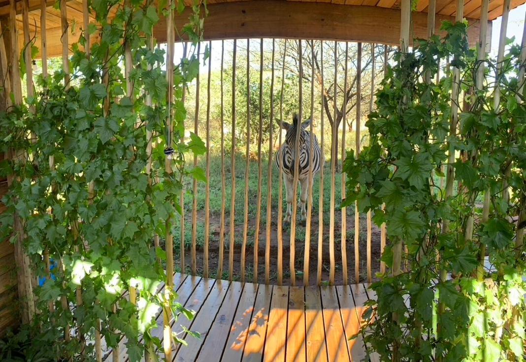 Mudhouse Zululand Villa Hluhluwe Eksteriør billede